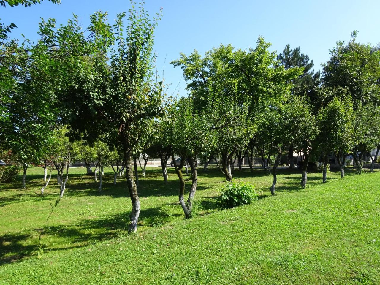 Apartment Una Laguna Bihać Esterno foto